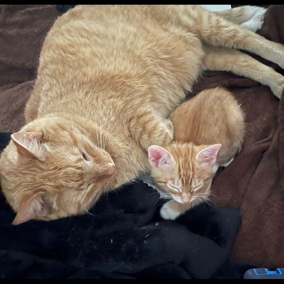 Help me reach 700k I’m at 611k - Picture 4 of 7